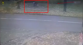 Un biciclist a lovit violent o minoră și a fugit de la locul faptei. Părinții vor fi sancționați